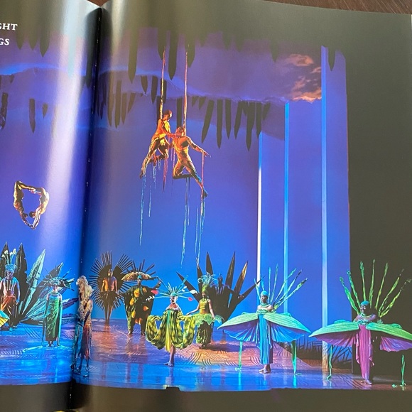 DISNEY LION🦁KING TWENTY YEARS ON BROADWAY AND AROUND THE WORLD HARDCOVER BOOK - Picture 6 of 12